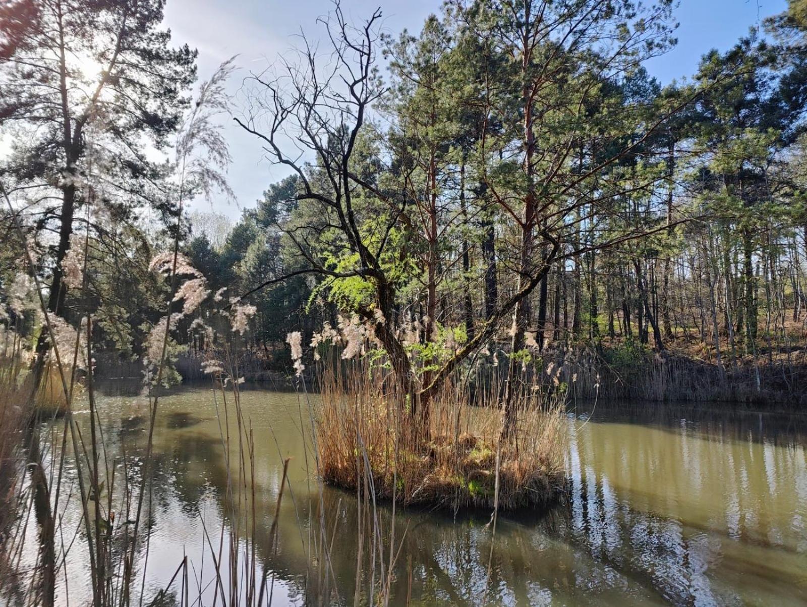 Les Chambres De Charnay - Calme Charme Et Confort Piscine A 5 Mn Du Peage Vierzon Eksteriør billede