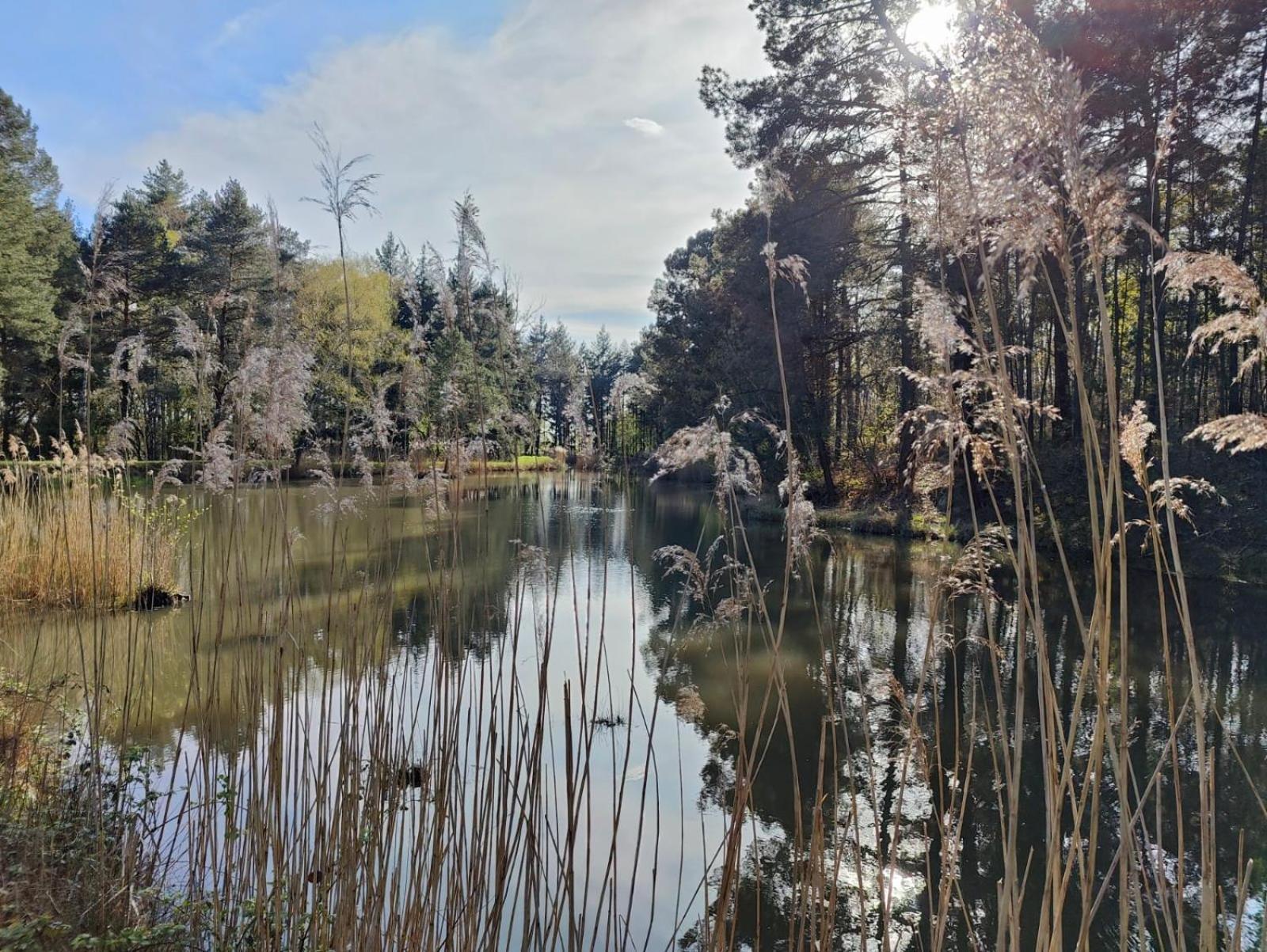 Les Chambres De Charnay - Calme Charme Et Confort Piscine A 5 Mn Du Peage Vierzon Eksteriør billede